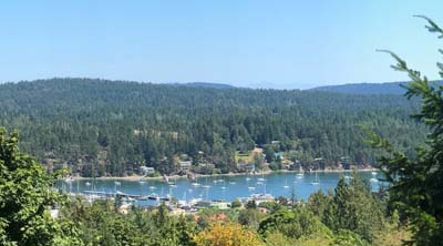 Serene Harbour View Home