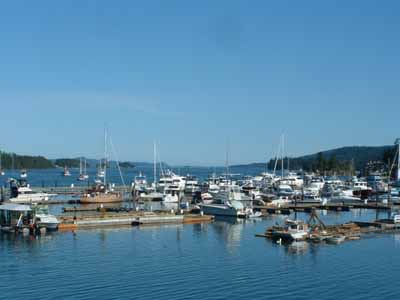 Boats in Marina