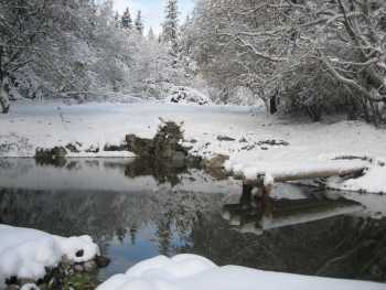 Snowy pond