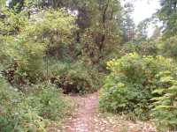Island Trail System