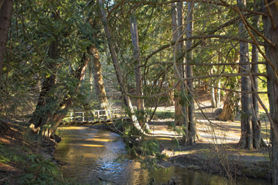 Salt Spring Island