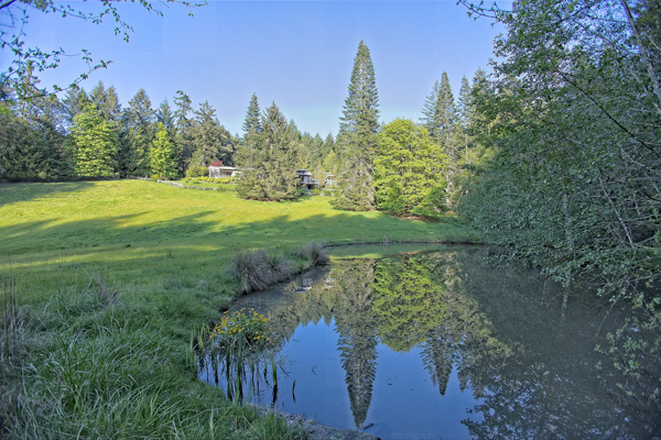 Salt Spring Island winter activities