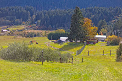 Salt Spring Island harvest activities