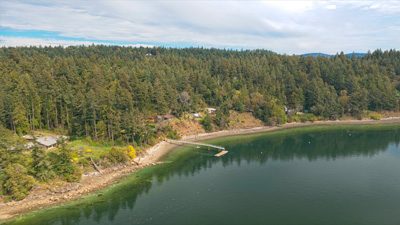 Shoreline and moorage along a forested Salt Spring Island bay