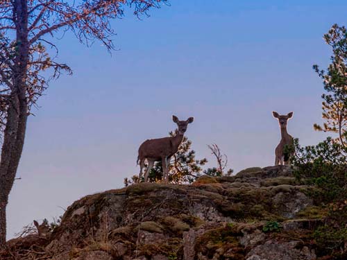 Salt Spring Island