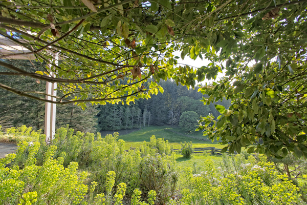 Salt Spring Island