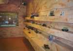 Bozi Opticians
