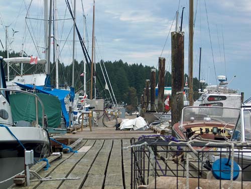The controlled chaos of a marina dock...
