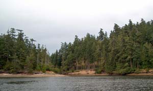 Channel to Pender Island Bridge at High Tide